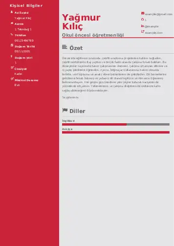 Okul Öncesi Öğretmeni Öğretmenliği Cv Örnekleri cv indir